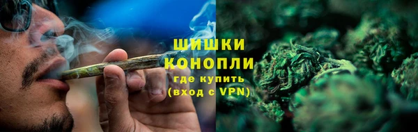 ГАЛЛЮЦИНОГЕННЫЕ ГРИБЫ Аркадак