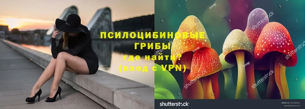 apvp Арсеньев