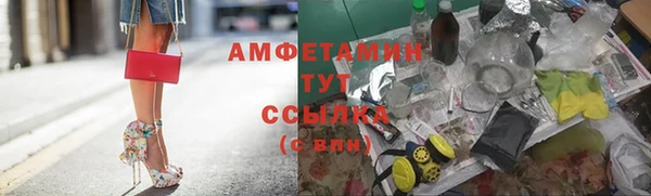 ГАЛЛЮЦИНОГЕННЫЕ ГРИБЫ Аркадак