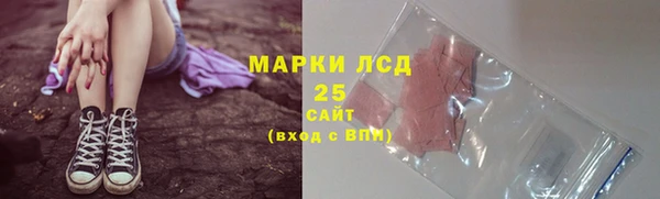 ГАЛЛЮЦИНОГЕННЫЕ ГРИБЫ Аркадак