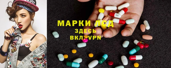 ГАЛЛЮЦИНОГЕННЫЕ ГРИБЫ Аркадак