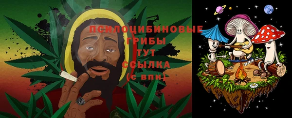 apvp Арсеньев