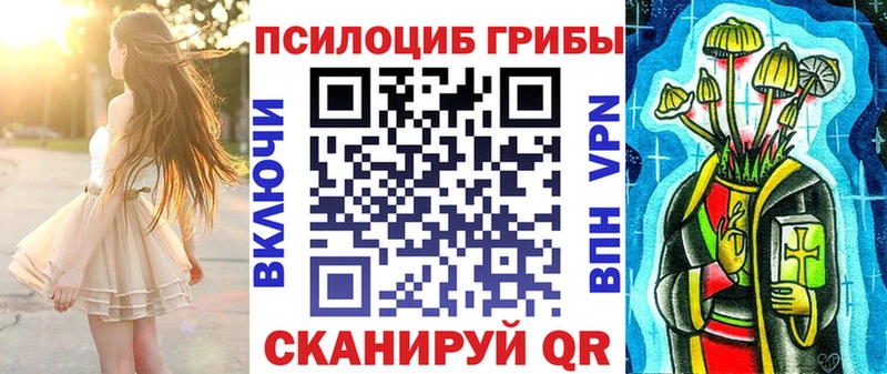 купить   Отрадный  Галлюциногенные грибы мицелий 